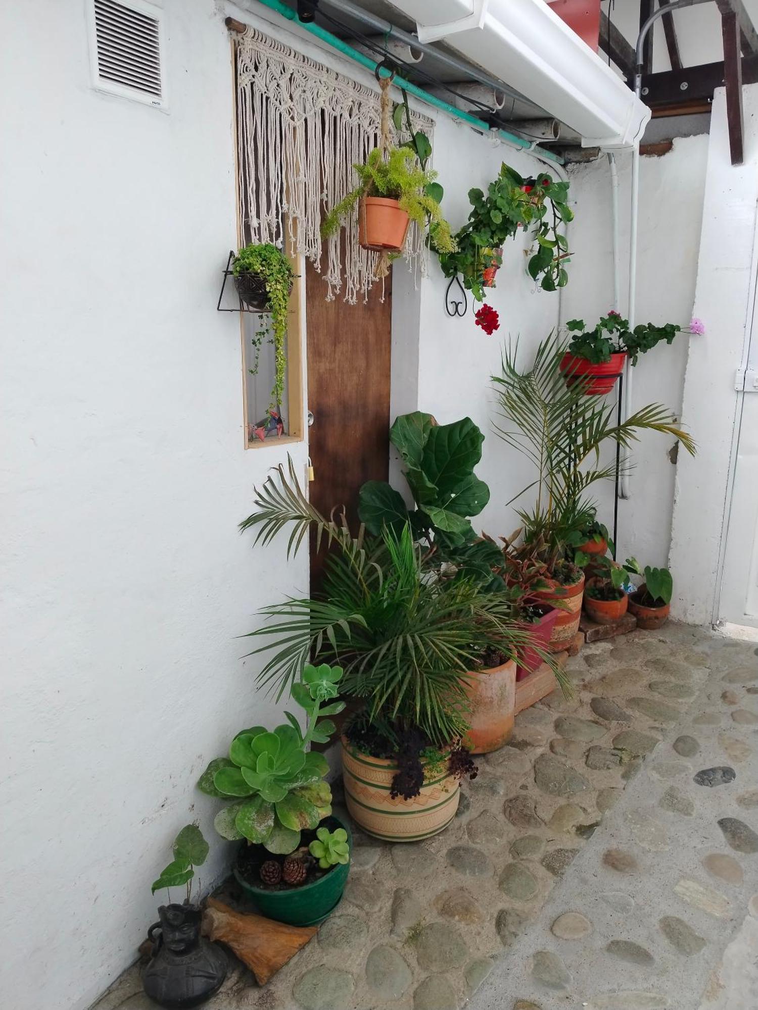 Apartaestudios La Baranda Salento Exteriér fotografie
